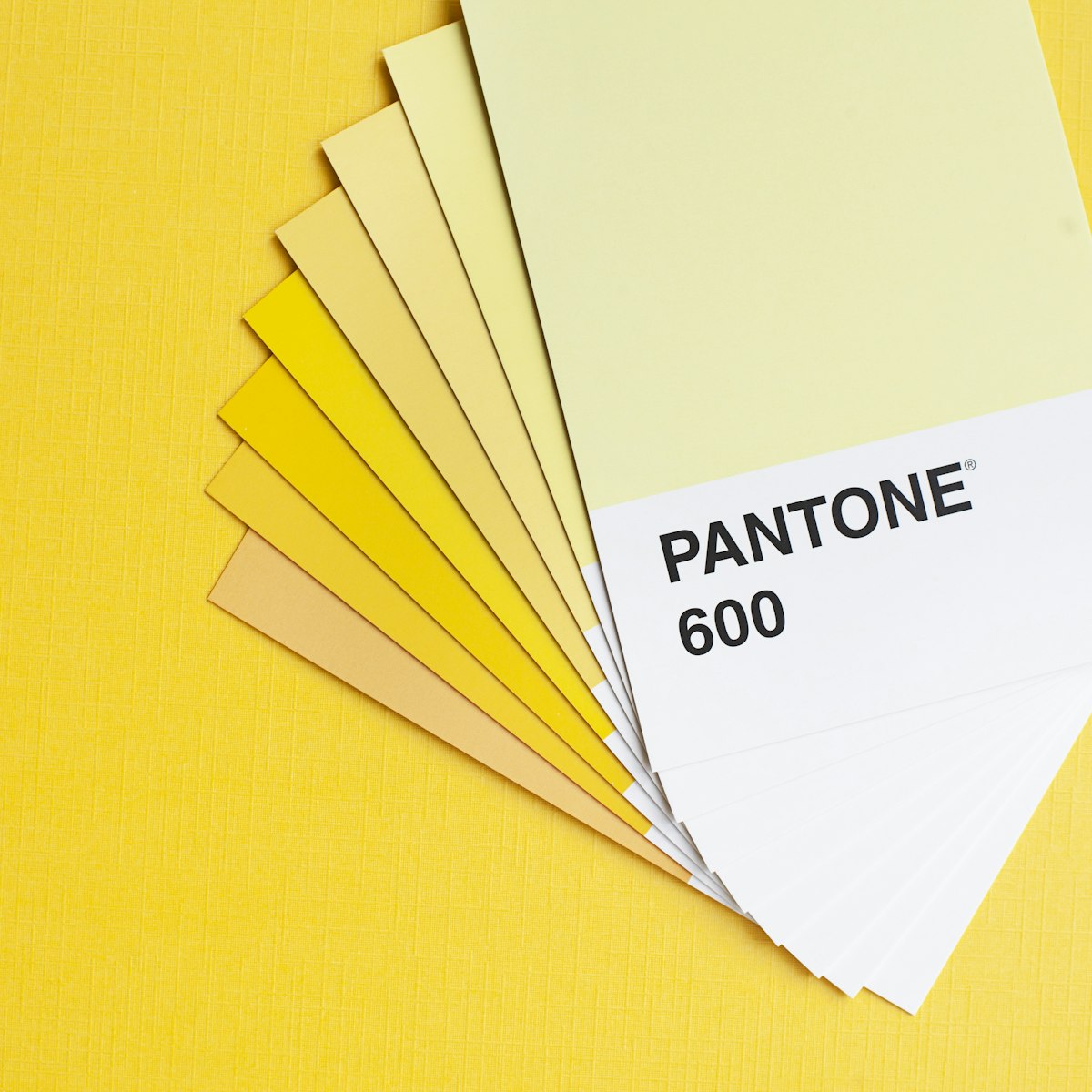 A fan of colour swatches